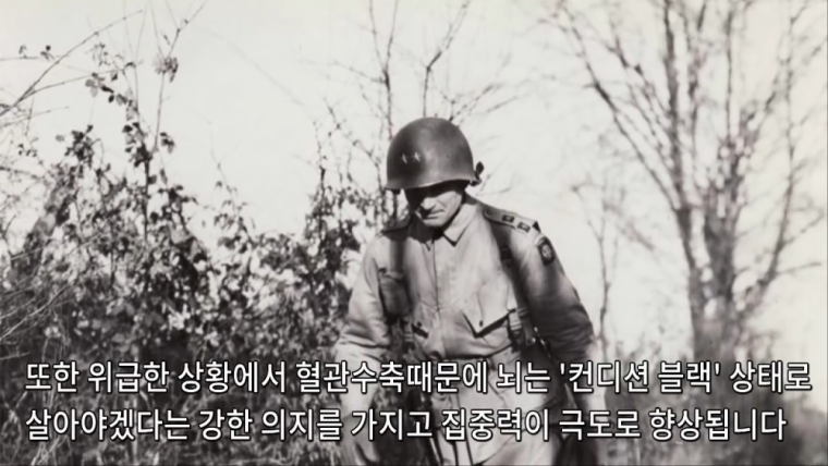 전투에 임할시 신체변화 | 인스티즈