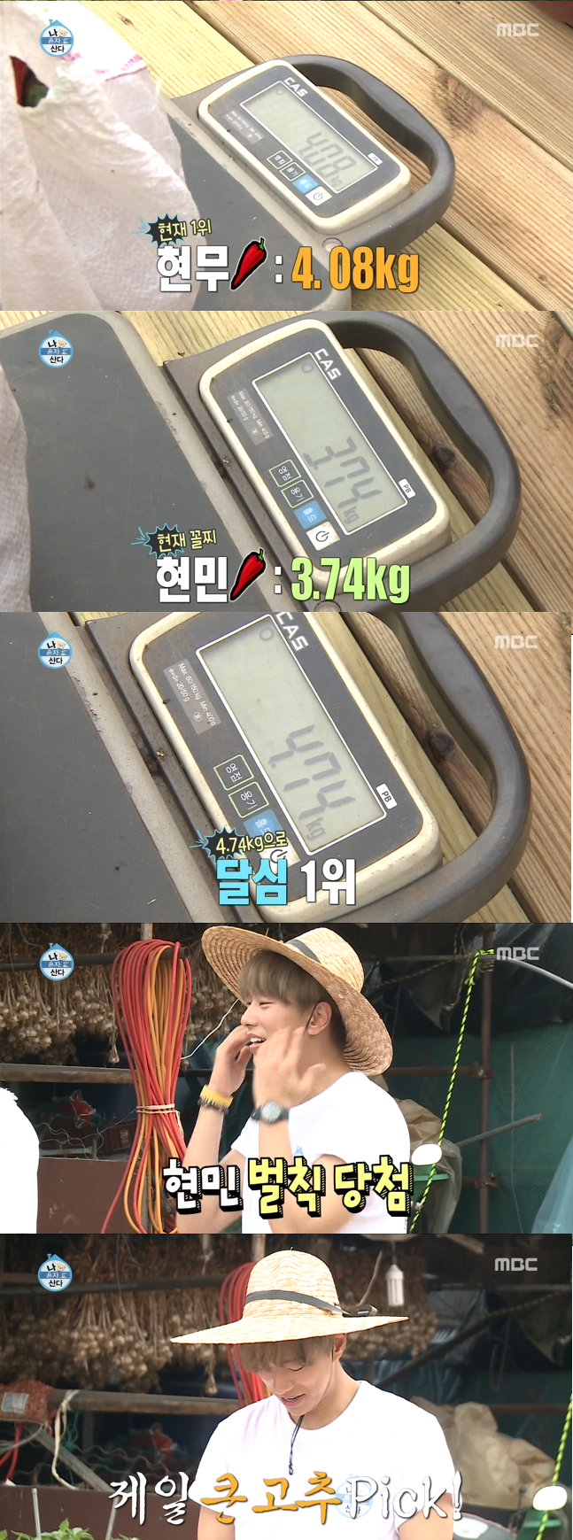 나혼자산다 고추밭의 흔한 고추부심(feat.브레드 이즈 더 베스트) | 인스티즈