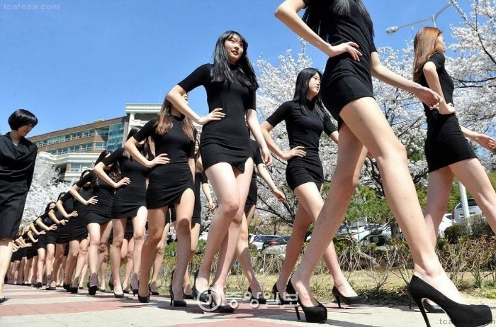 모델학과 학생들의 워킹연습 | 인스티즈