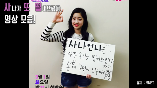 바보 사나 | 인스티즈