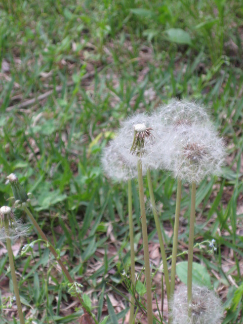 대상수산 이미지