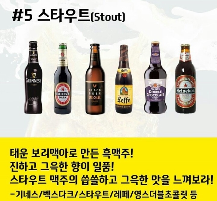 맥주의 세계.jpg | 인스티즈
