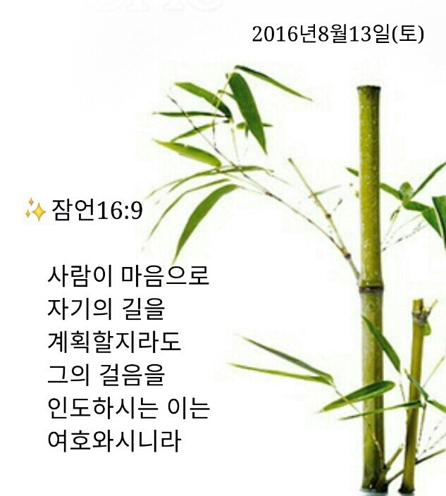 백향 이미지