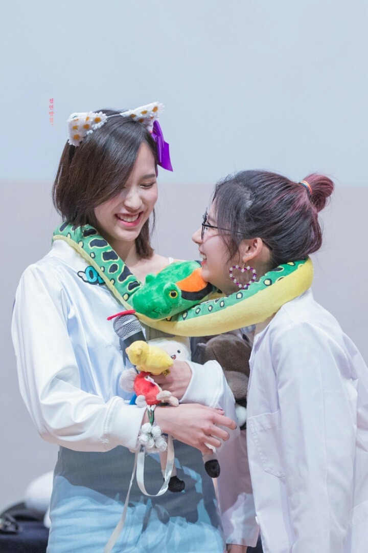 모미랑 이미지