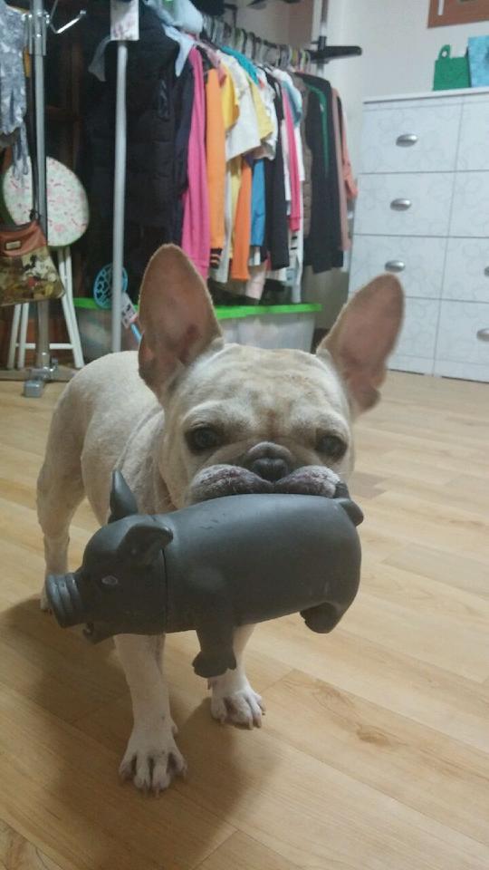큐티 이미지