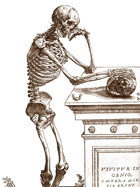 중세 남성 성기 해부도 | 인스티즈