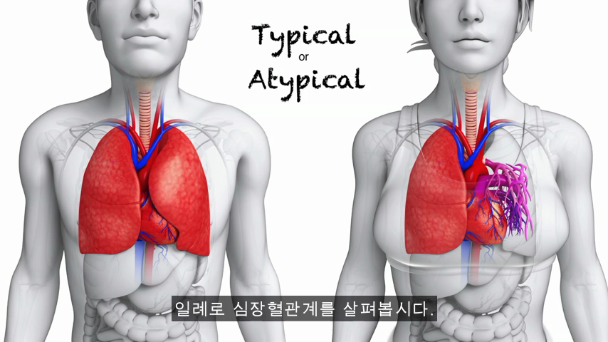 [TED] 왜 약은 종종 여성에게 위험한 부작용이 있는가 | 인스티즈