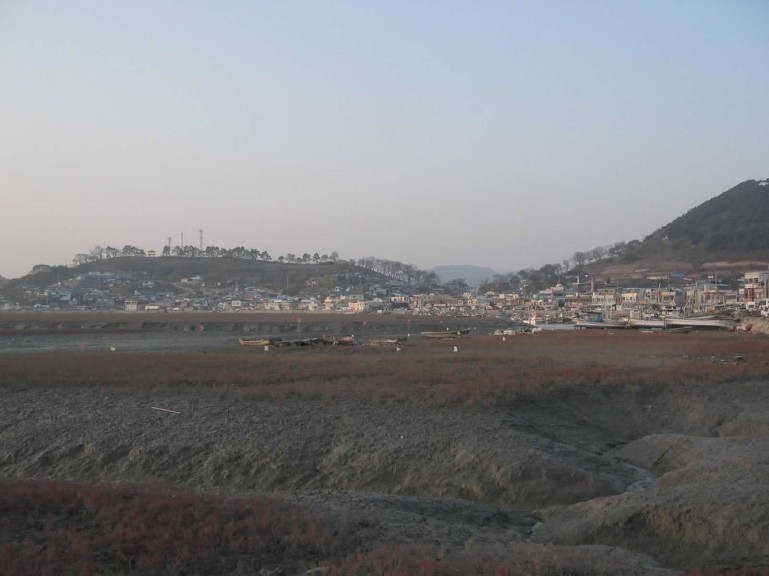 숲쟁이 이미지