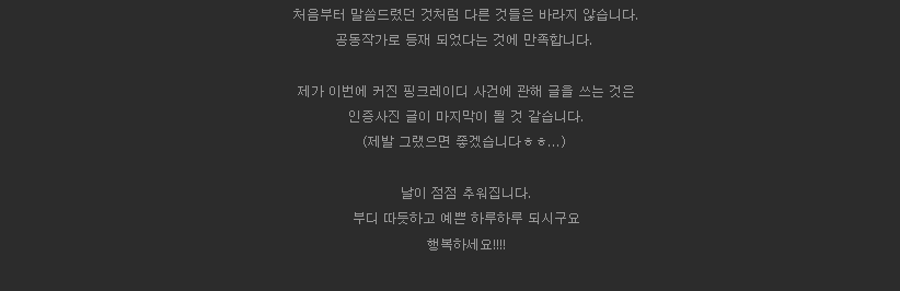 웹툰계 가장 최악의 어이였던 핑크레이디 그림작가 은폐사건 | 인스티즈
