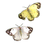´õºíŬ¸¯À» ÇϽøé À̹ÌÁö¸¦ ¼öÁ¤ÇÒ ¼ö ÀÖ½À´Ï´Ù