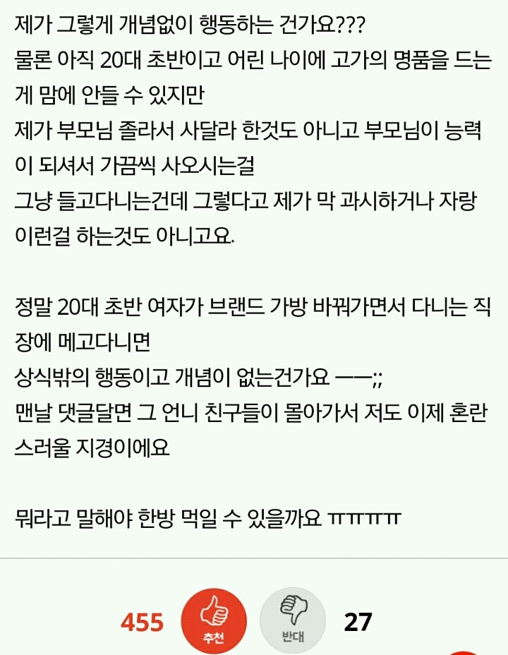 20대 초반 여자 명품백 드는게 그렇게 욕먹을 일인가요??? | 인스티즈