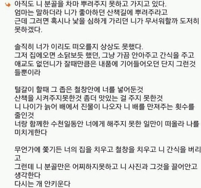 다시는 강아지 안 키운다 | 인스티즈