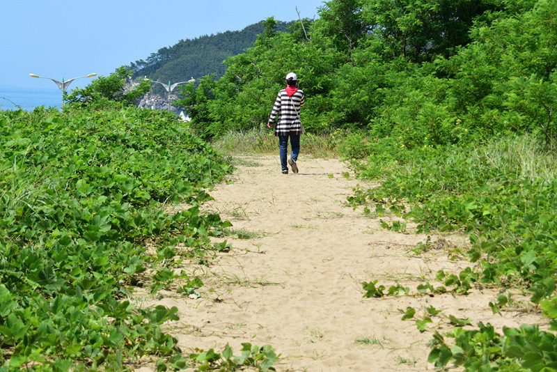 한화투어 이미지