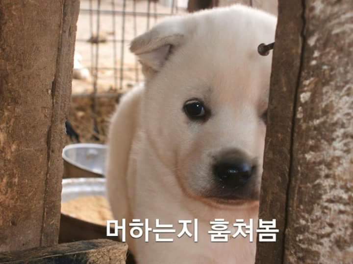 pc방 옆자리 특징 jpg | 인스티즈