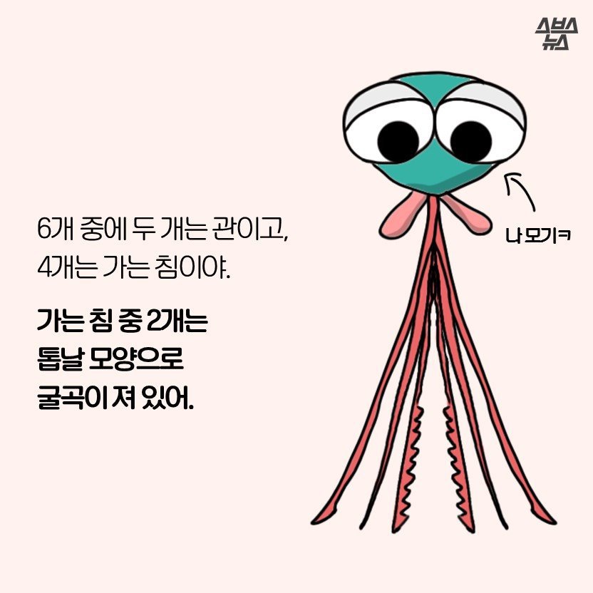모기 만화.jpg | 인스티즈