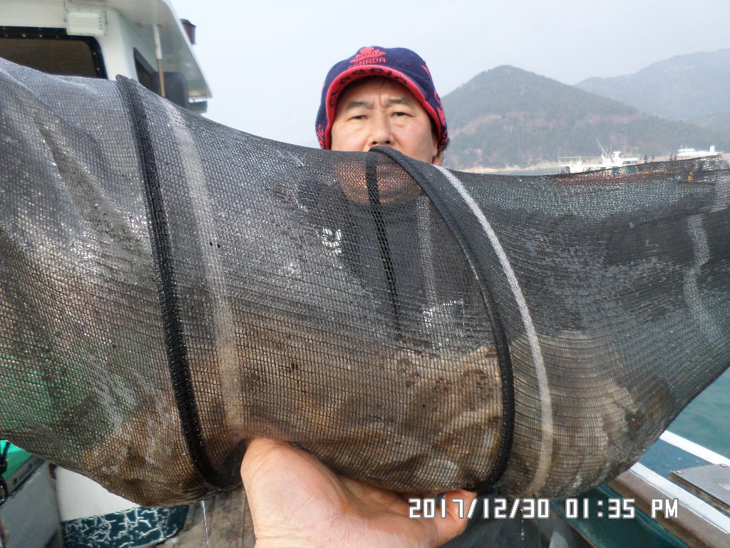 쭈꾸미꾸미 이미지