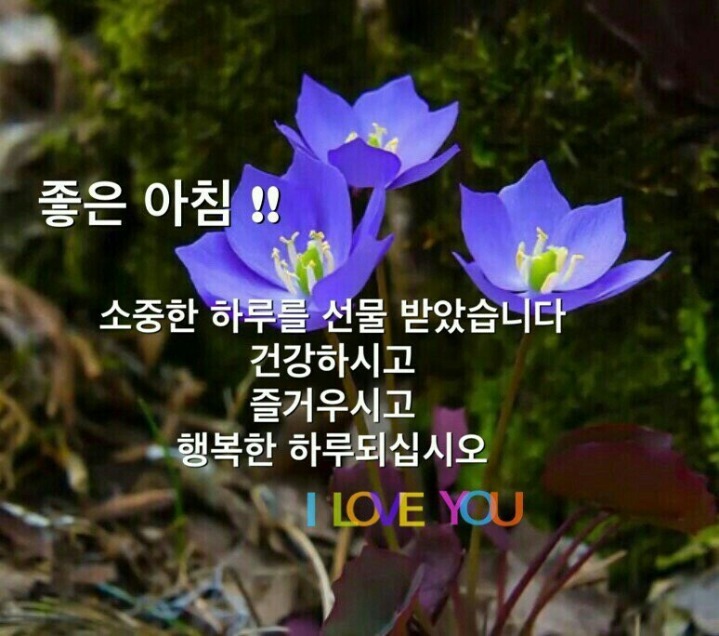 행복한하루 이미지