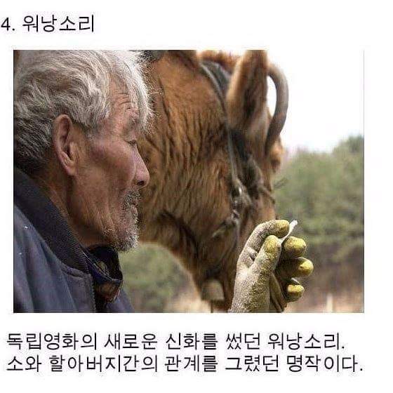 참 살맛나는 대한민국.jpg | 인스티즈