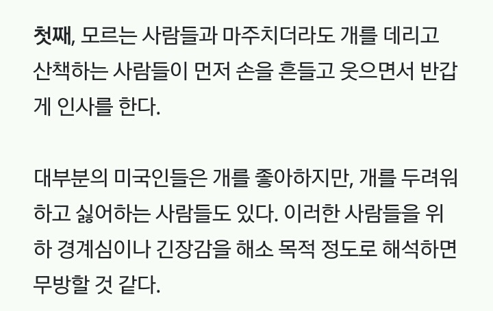 미국인들의 개 산책 문화 | 인스티즈