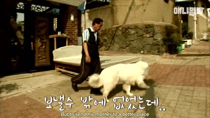 모른척 지나가면 짖는 삼식이.jpg | 인스티즈