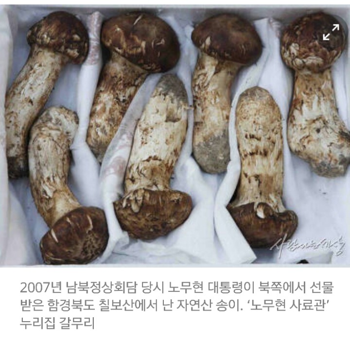 김정은이 선물한 송이버섯 가격 | 인스티즈