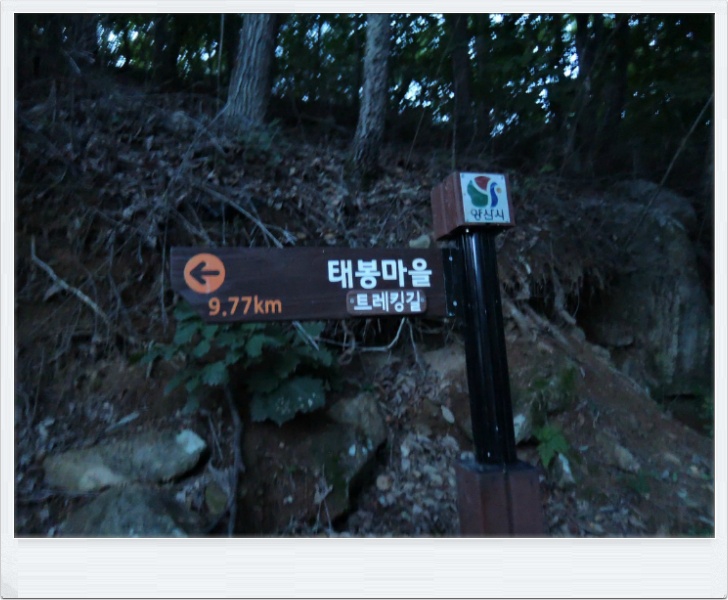 장터길 이미지