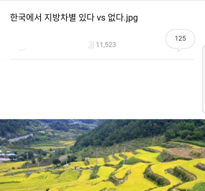 한국에 지방차별 있다 vs 없다.jpg | 인스티즈