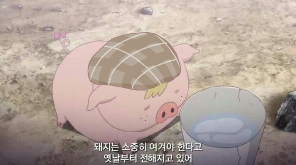 돼지의 실체.jpg | 인스티즈