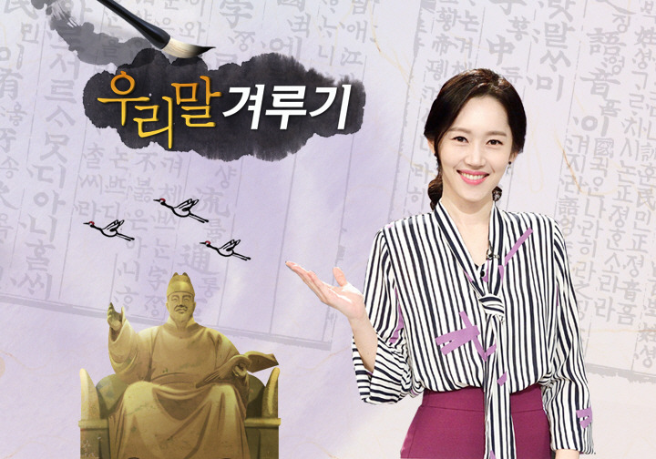 퀴즈 프로그램에 출연할 수 있다면 출연한다 vs 안한다 | 인스티즈