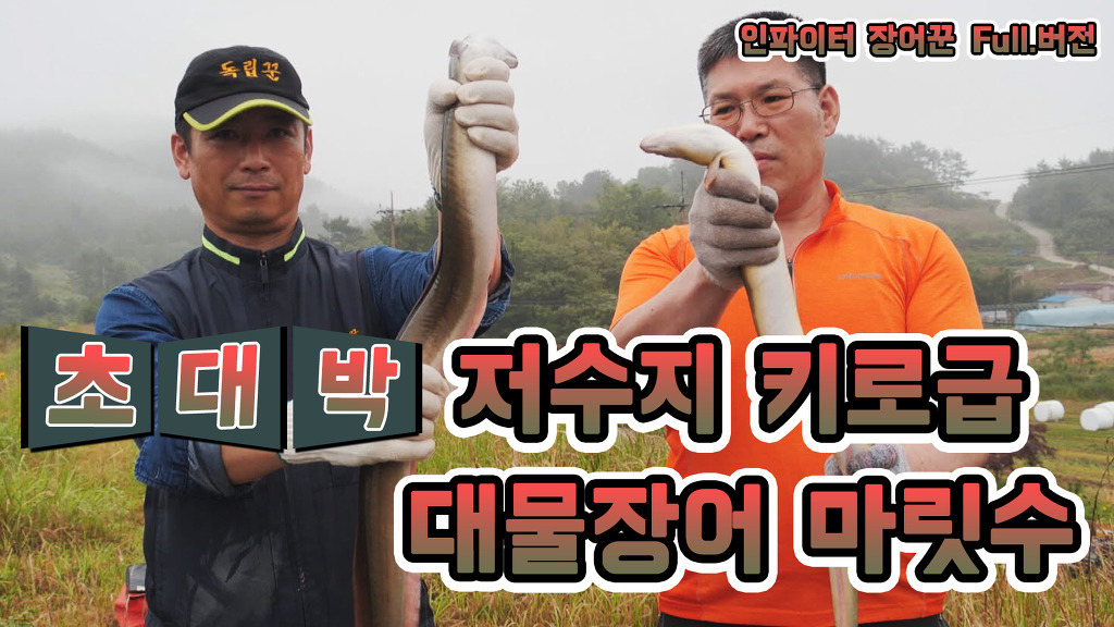 대물장어 이미지