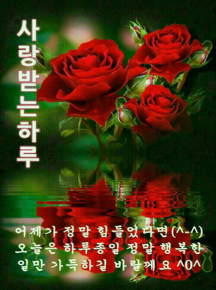 즐거운하루 이미지