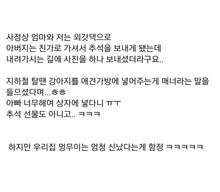 추석을 보내는 댕댕이 | 인스티즈