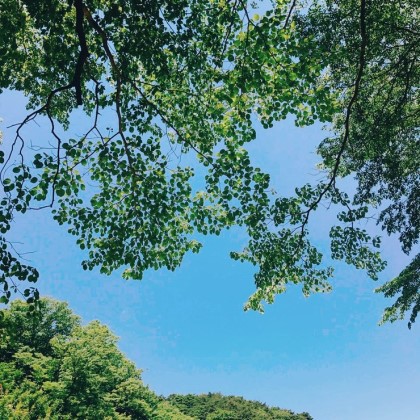 강산 이미지