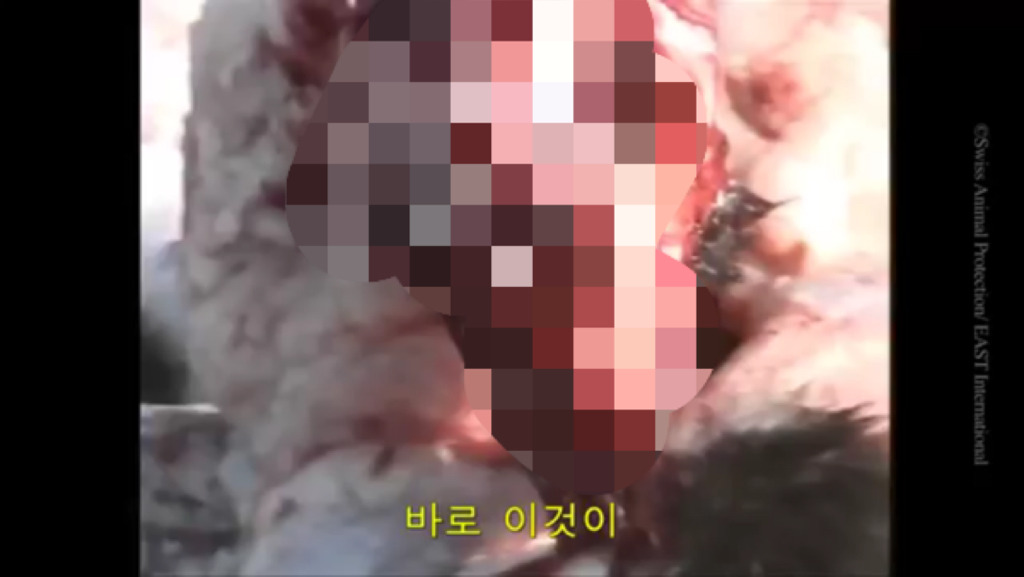 모르고 쓰는거면 몰라도 알면서 쓰는 사람들은 솔직히 인간으로 존중 못하겠는 부분.jpg (혐오주의) | 인스티즈