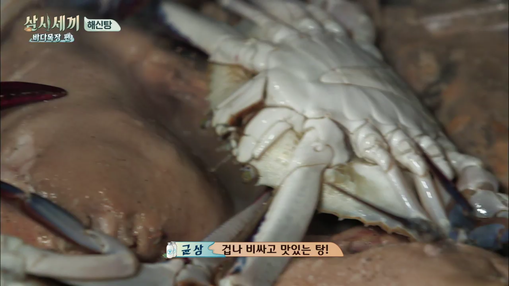 한지민을 물음표살인마로 만든 삼시세끼 역대급 비쥬얼 해신탕 | 인스티즈