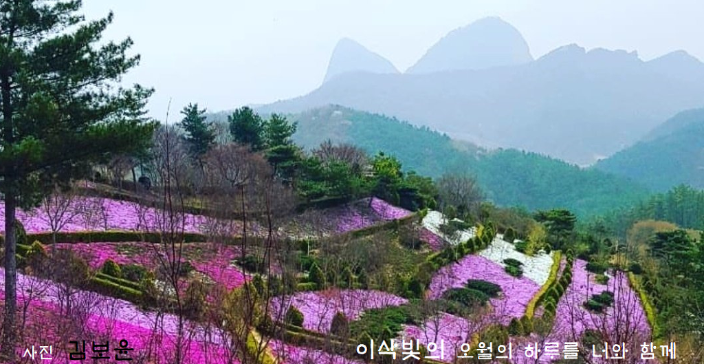 오월하루 이미지