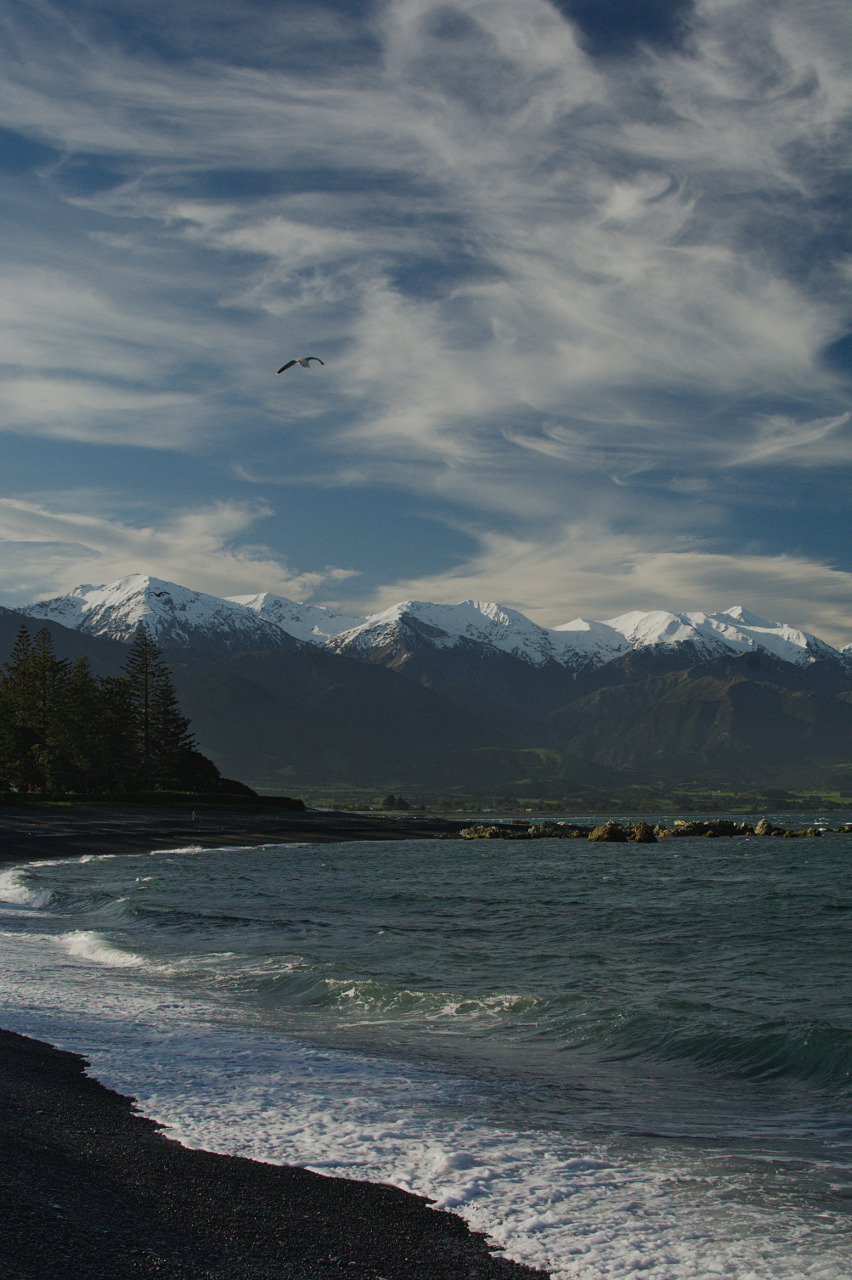 뉴질랜드가 지상낙원이라고 불리는 이유ㄷㄷㄷㄷㄷㄷㄷ. jpg | 인스티즈
