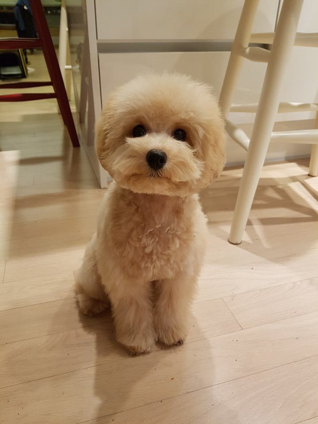 (유)처음으로 이미지