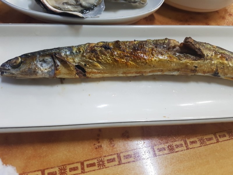 40,000원 고등어회 드실래요? | 인스티즈