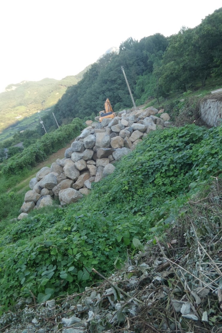 자연석 이미지