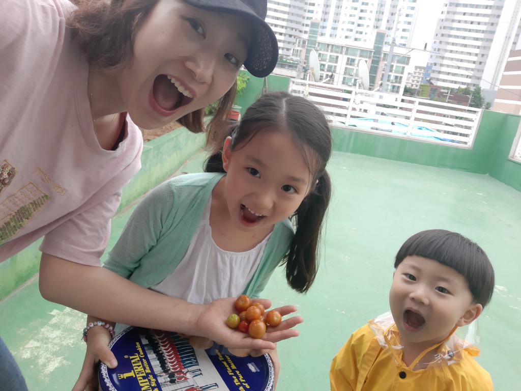 로아네 이미지
