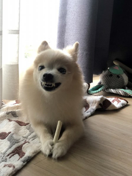 경기세차장 이미지