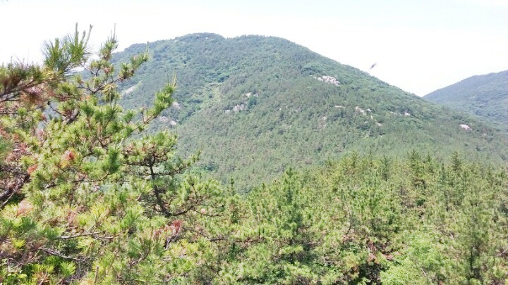 고성산 조망 이미지