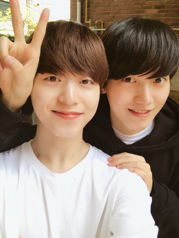 라운 이미지