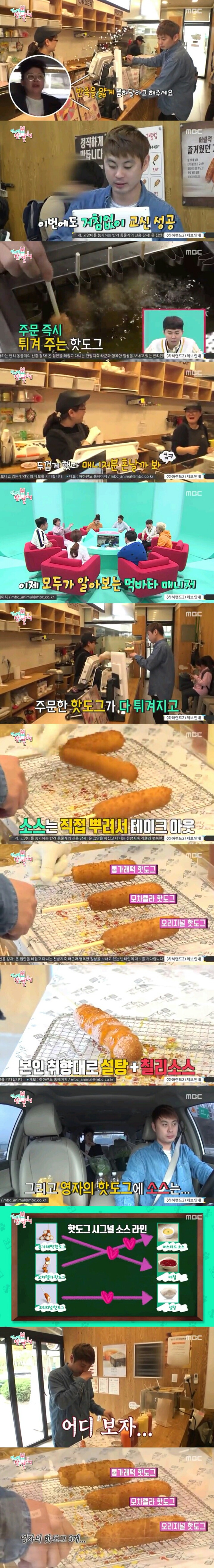 이영자와 핫도그 | 인스티즈