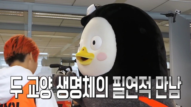 SBS간 EBS 자이언트 펭TV 펭수 | 인스티즈