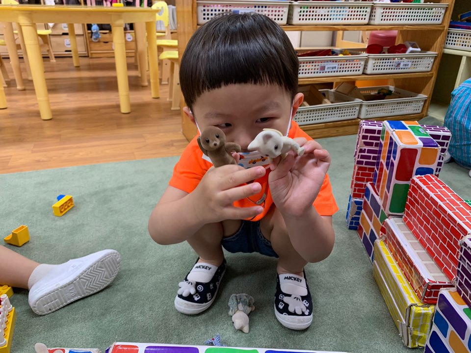 (주)정다 이미지