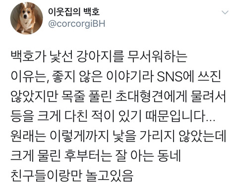 댕댕이의 고정픽은 동물병원 원장님 | 인스티즈