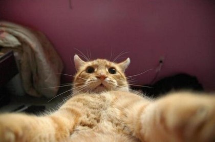 셀카 이미지
