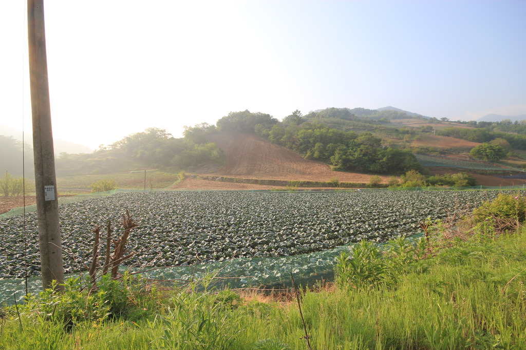 충주댐주유소 이미지